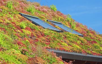 Pyrland living roof systems